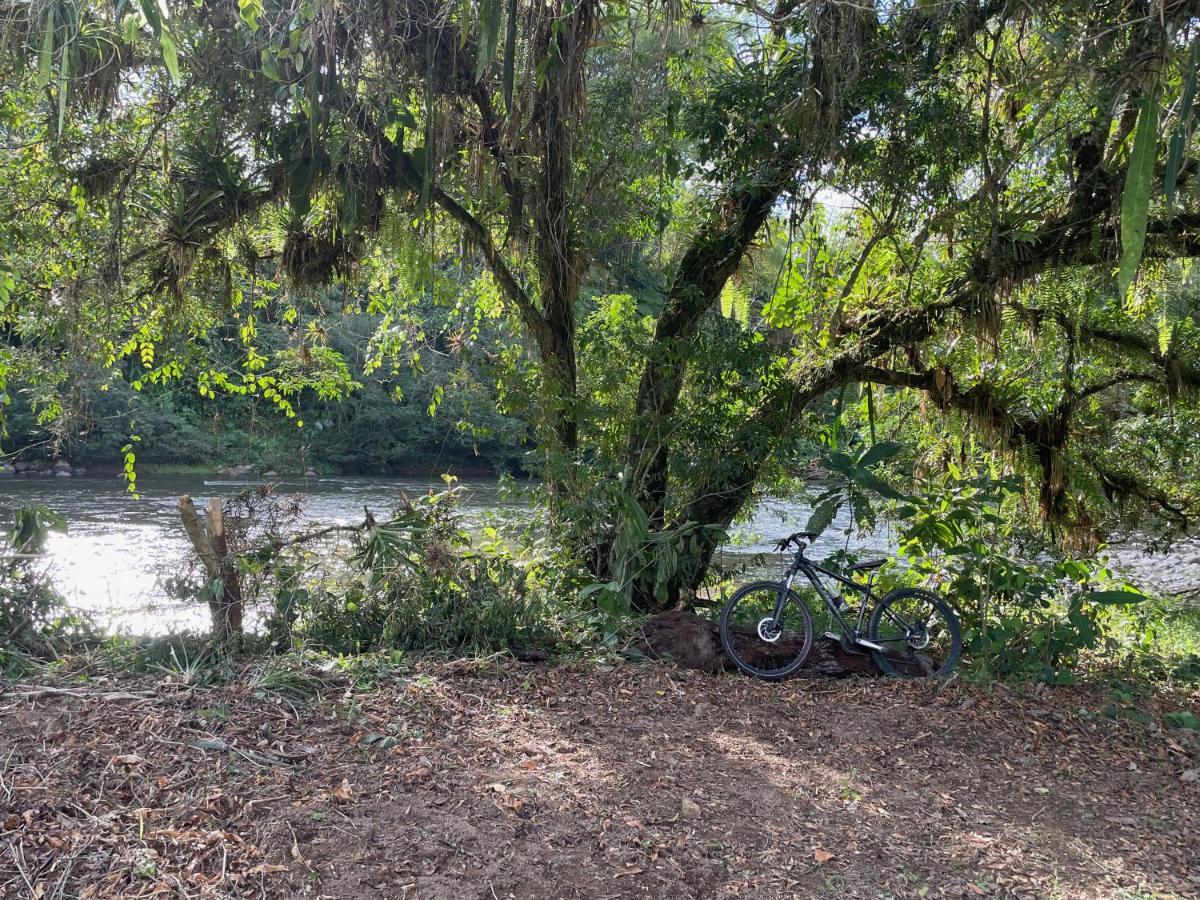Caoni Riverside Lodge 基多港 外观 照片