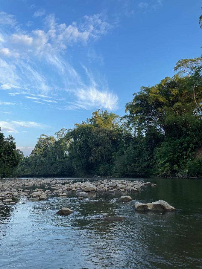 Caoni Riverside Lodge 基多港 外观 照片