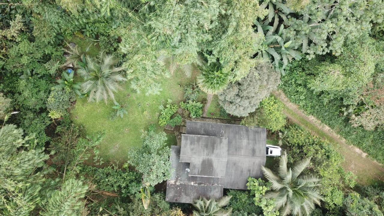 Caoni Riverside Lodge 基多港 外观 照片